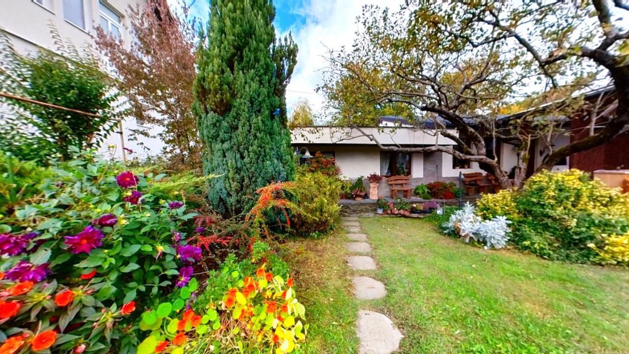 Villa "'Nu Ma Uita" Sovata Exterior foto
