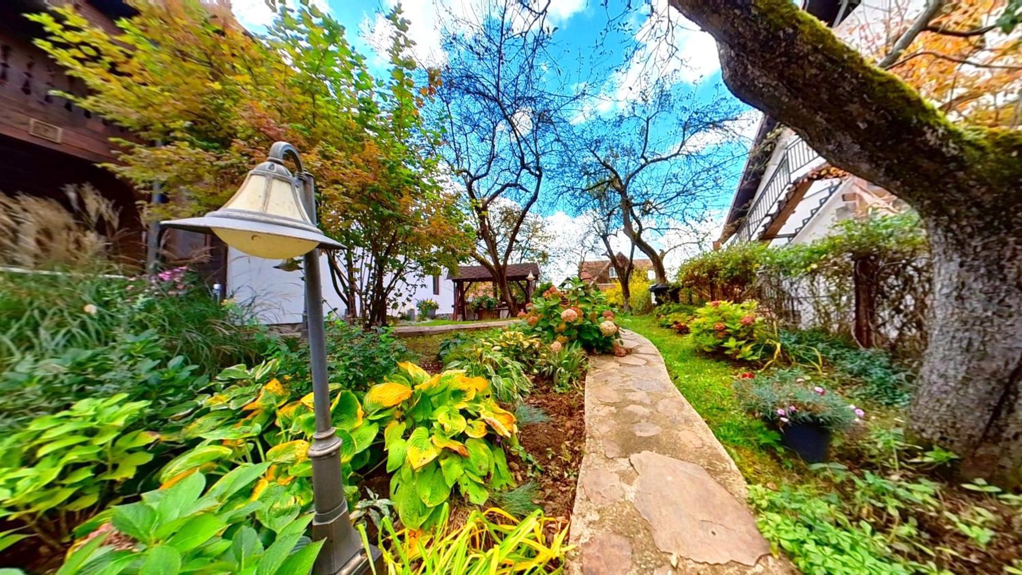 Villa "'Nu Ma Uita" Sovata Exterior foto